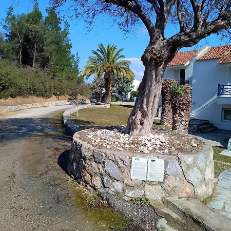 Elegant Maisonette In Paliouri, Halkidiki * Paliouri